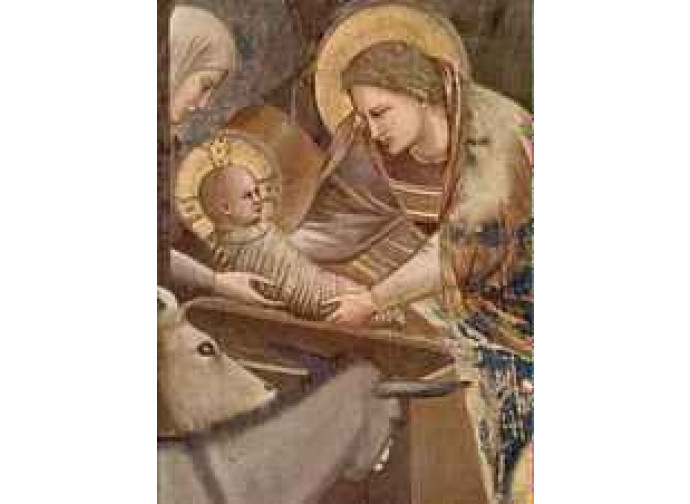 giotto - presepe